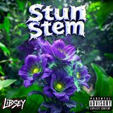 STUN STEM