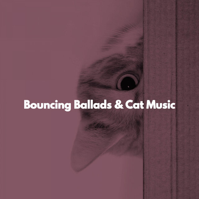 Bouncing Ballads & Cat Music