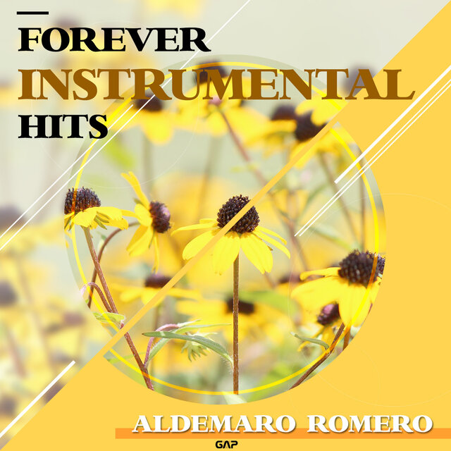 ALDEMARO ROMERO - FOREVER INSTRUMENTAL HITS 