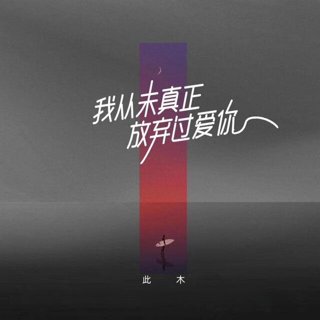 我从未真正放弃过爱你
