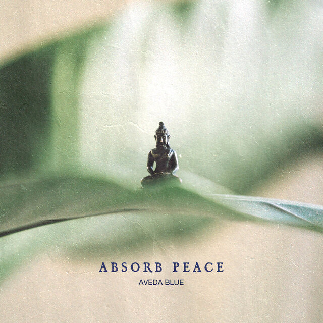 Absorb Peace