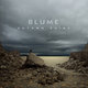 Cover art for album Autumn Ruins by Blume