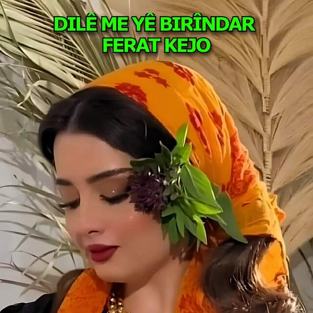 Dilê Me Yê Birîndar