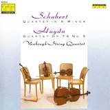 String Quartet No. 13 in A minor, D.804 Op.29: I. Allegro ma non troppo