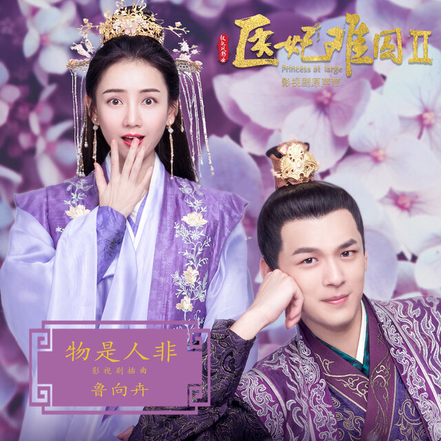 物是人非 (網劇《醫妃難囚2》插曲)