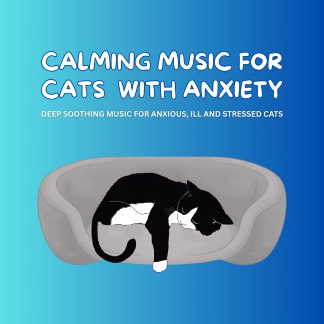 Calming Music for Cats with Anxiety - Pet Music Therapy (Deep Soothing Music for Anxious, Ill and Stressed Cats)