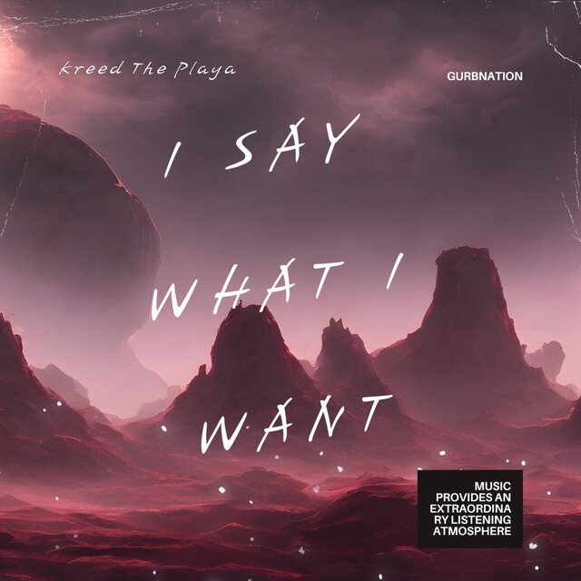 I say what i want