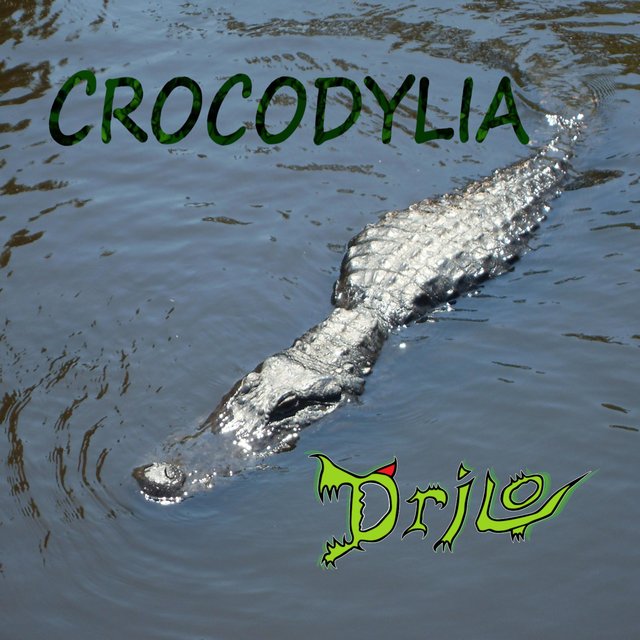 Crocodylia