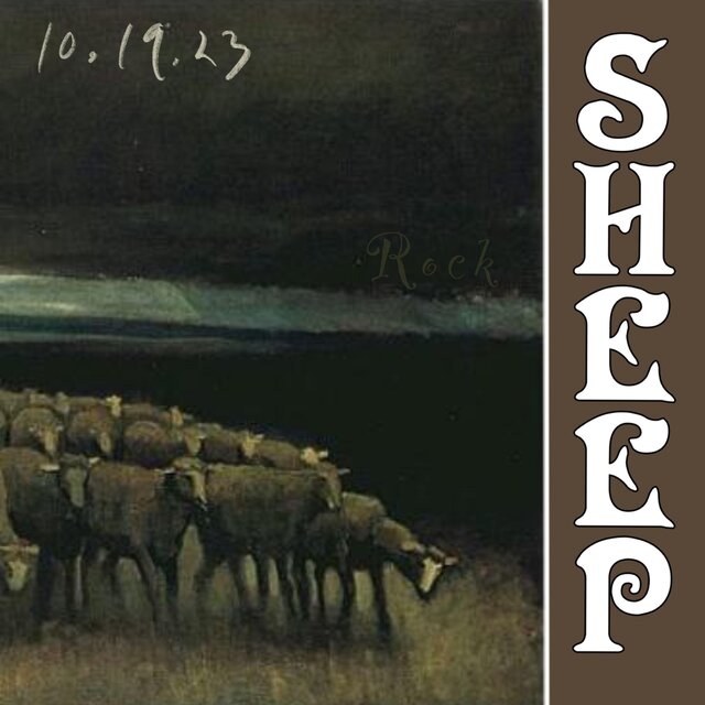 Sheep 10.19.23