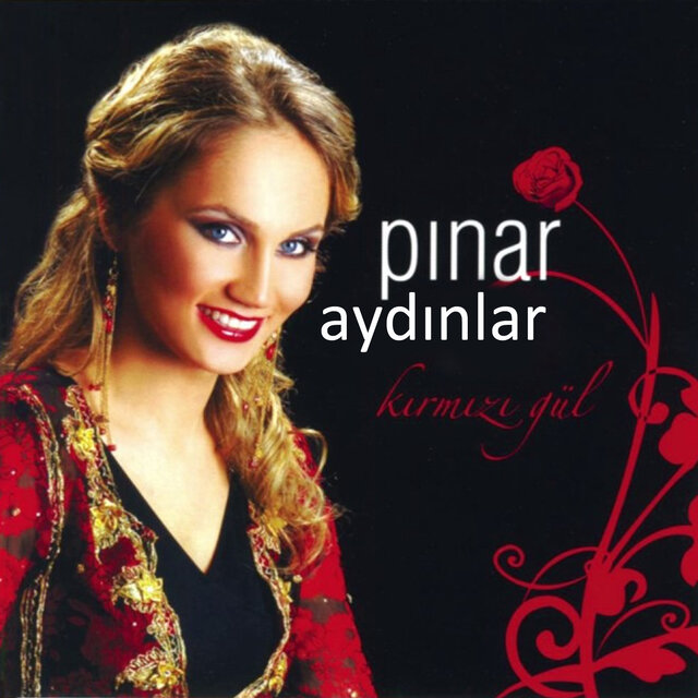 Kırmızı Gül