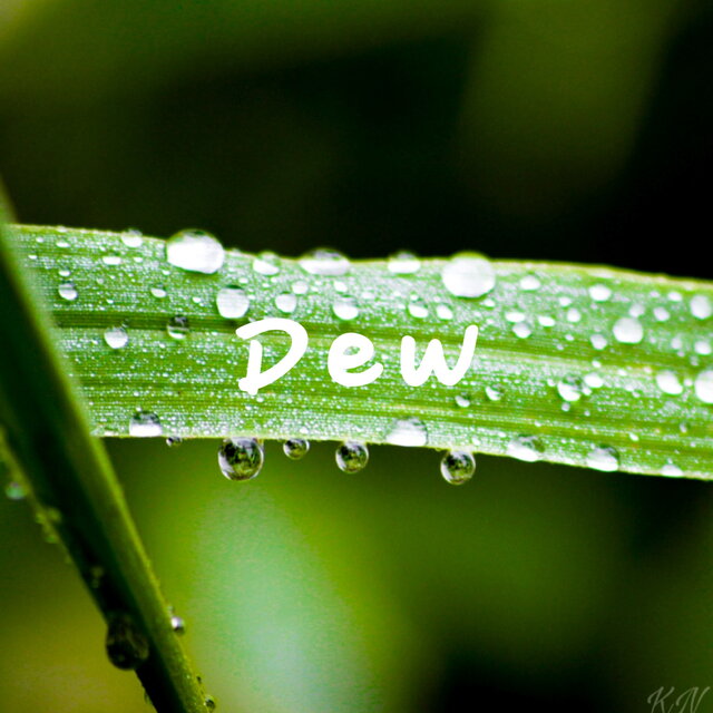 Dew