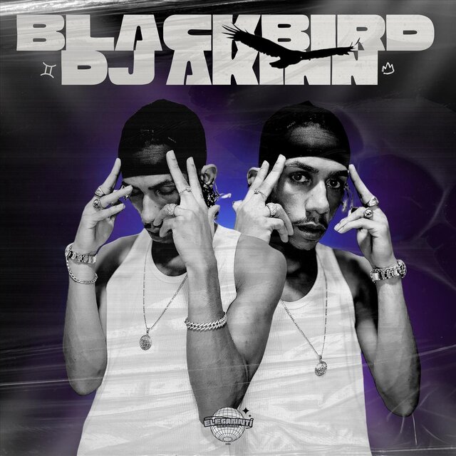 BLACKBIRD