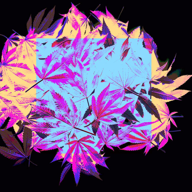 m a s s