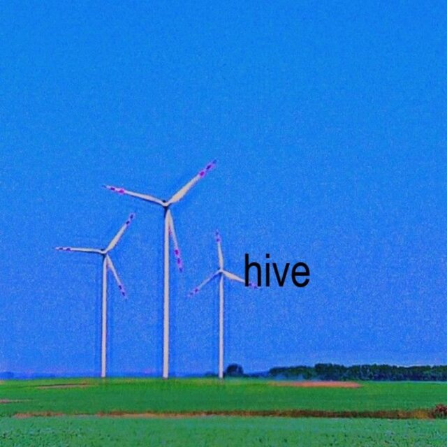 hive
