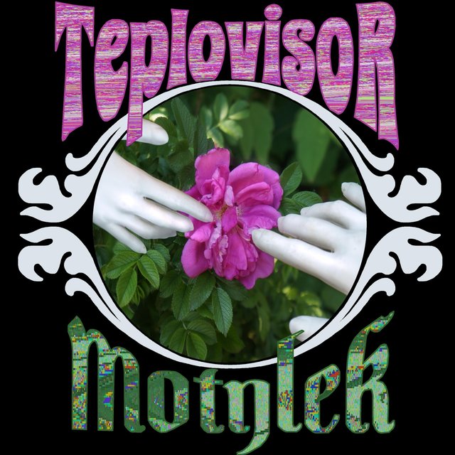 Motylek