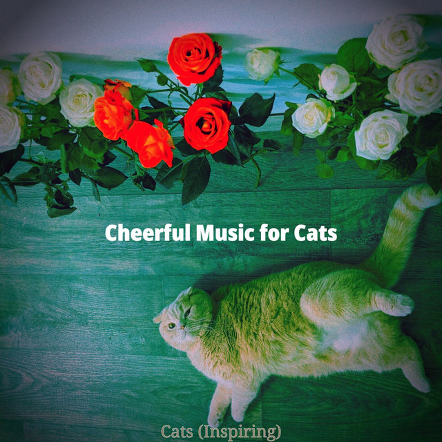 Cats (Inspiring)