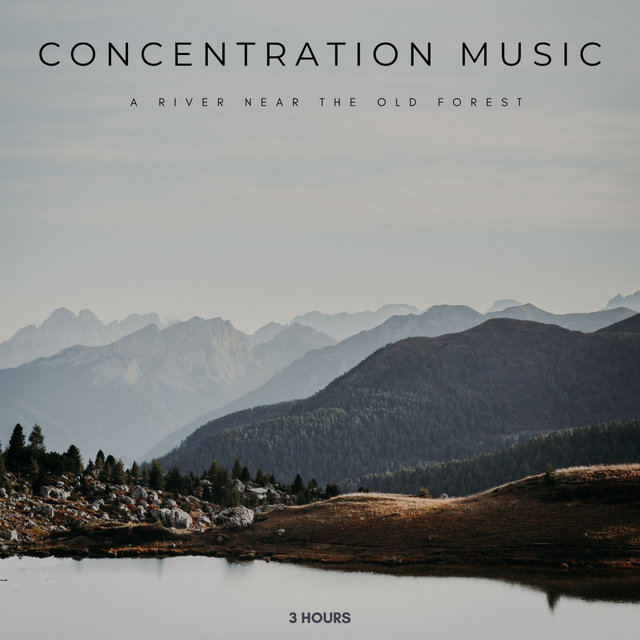 Concentration Music: A River Near The Old Forest - 3 Hours