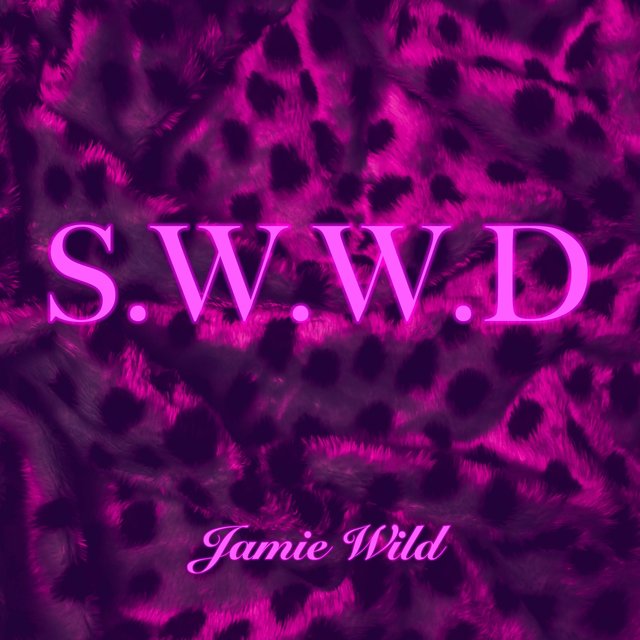 S.W.W.D
