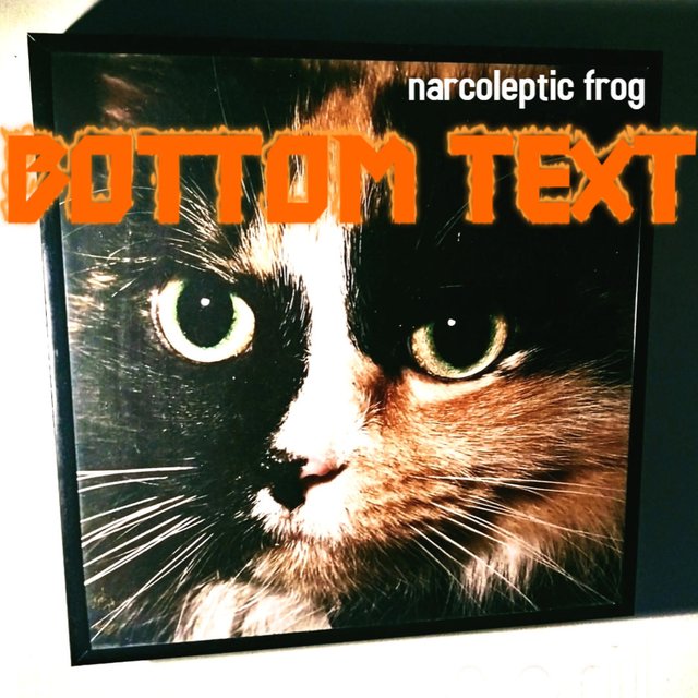 Bottom Text