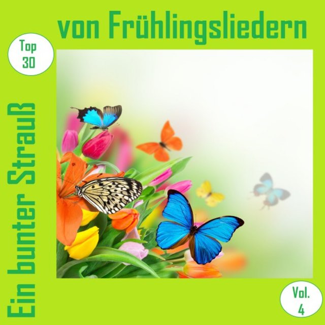 Top 30: Ein bunter Strauß von Frühlingsliedern, Vol. 4