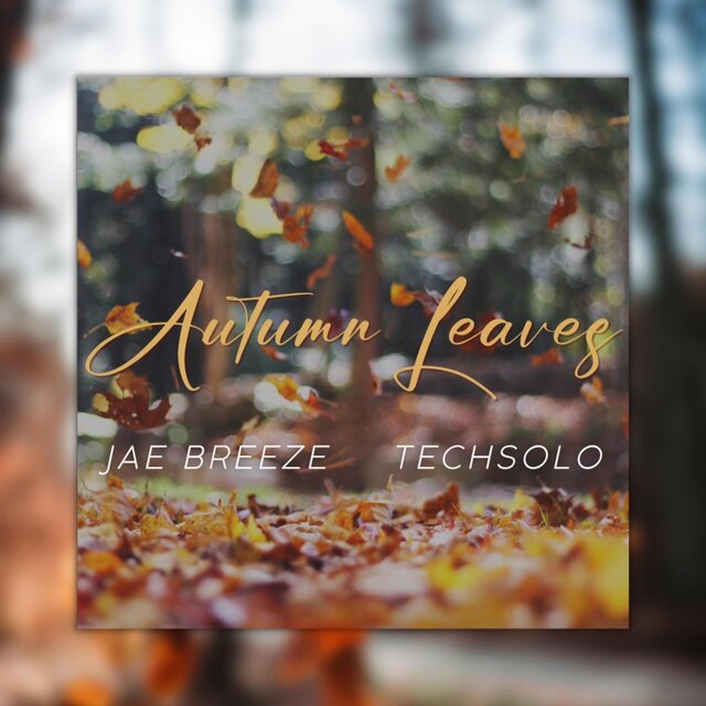 Autumn Leaves (feat. TechSoLo)
