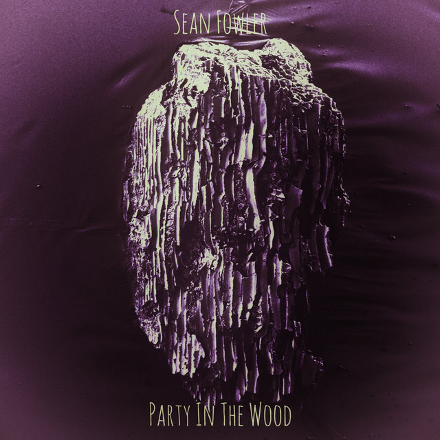 Party in the Wood
