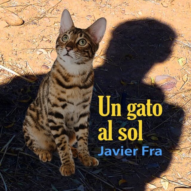 Un Gato al Sol