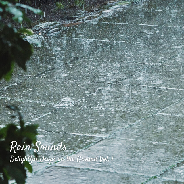 Rain Sounds: Delightful Drops on the Ground Vol. 1 by Recorder Rain on ...