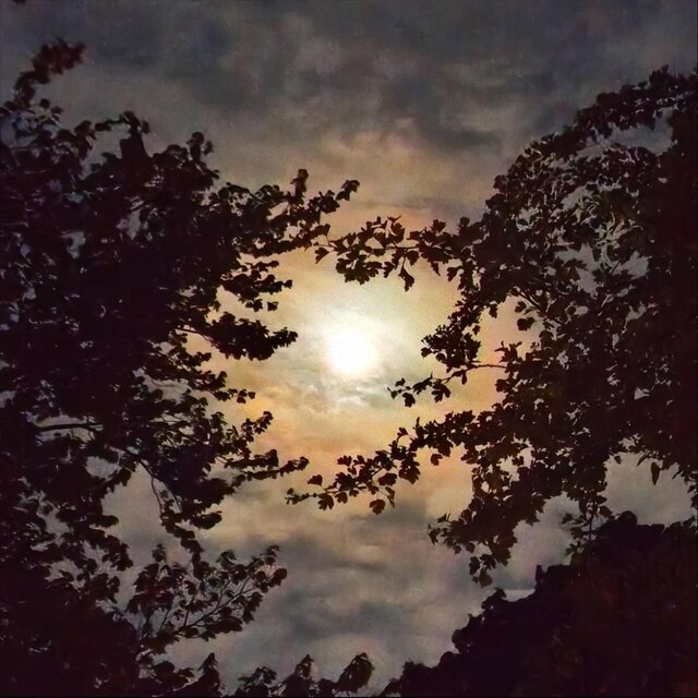 Mond