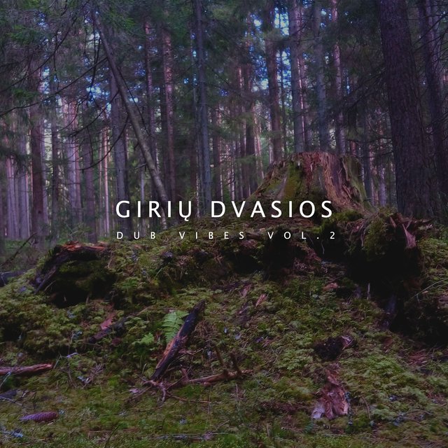 Dub Vibes, Vol. 2