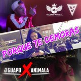 Porque Te Demoras (feat. J Guapo)