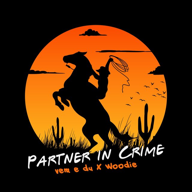 PARTNER IN CRIME