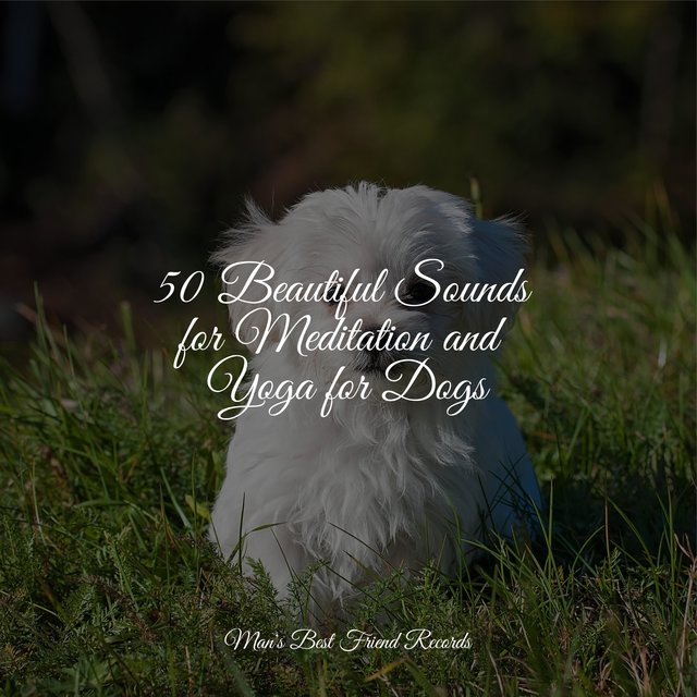 50 Beautiful Sounds for Meditation and Yoga for Dogs