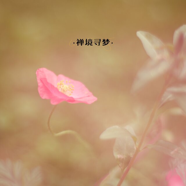 禅境寻梦
