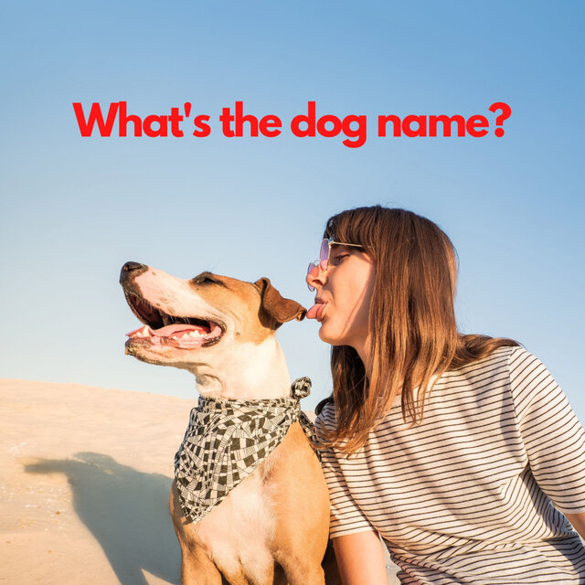 What's The Dog Names