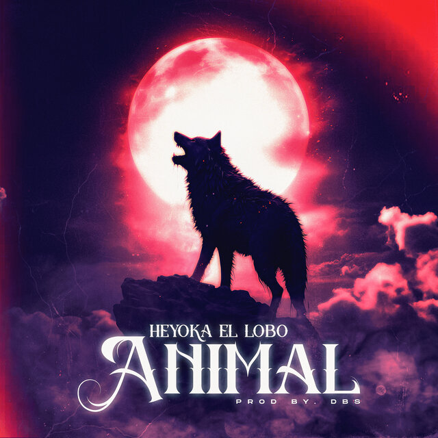 Animal