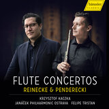 Concerto for Flute and Chamber Orchestra - Vivace