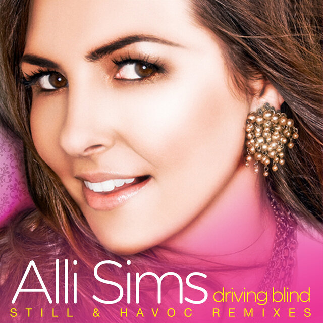 Cover art for album Driving Blind (Still & Havoc Remixes) by Alli Sims