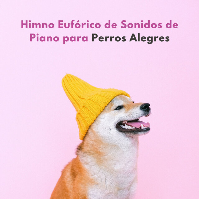 Himno Eufórico De Sonidos De Piano Para Perros Alegres