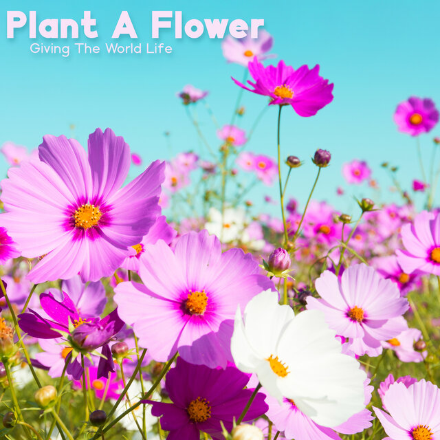 Plant A Flower: Giving The World Life