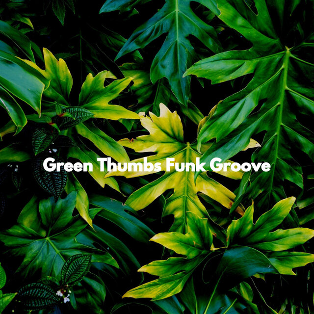 Green Thumbs Funk Groove