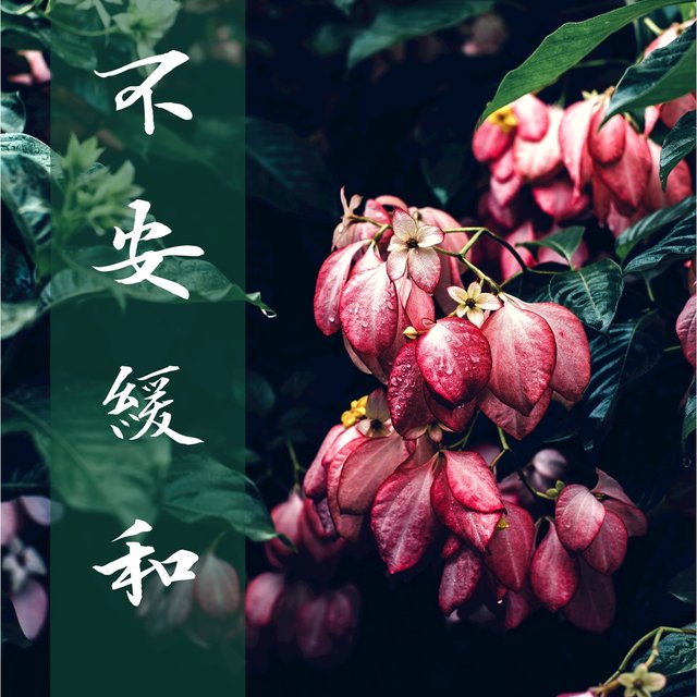 不安 緩和 ・ 催眠療法効果