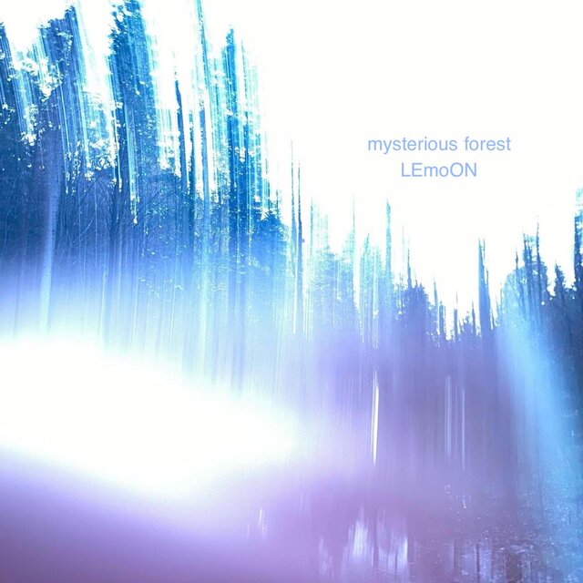 mysterious forest