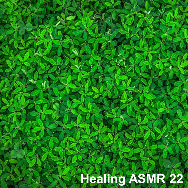 Healing ASMR 23 - Rain Sound