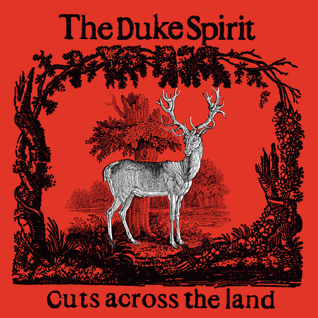 Cuts Across The Land