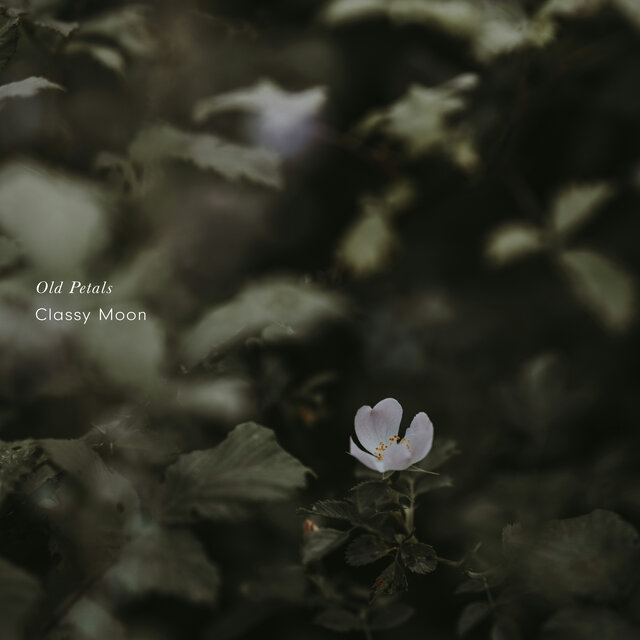 Old Petals