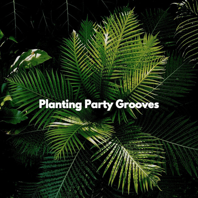 Planting Party Grooves