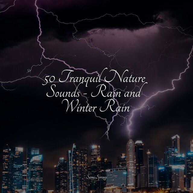 50 Tranquil Nature Sounds - Rain and Winter Rain