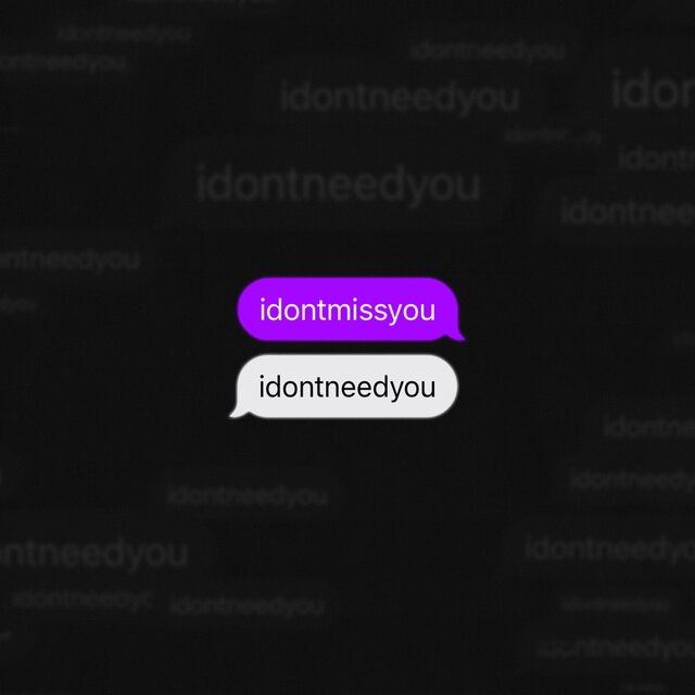 i don't miss you