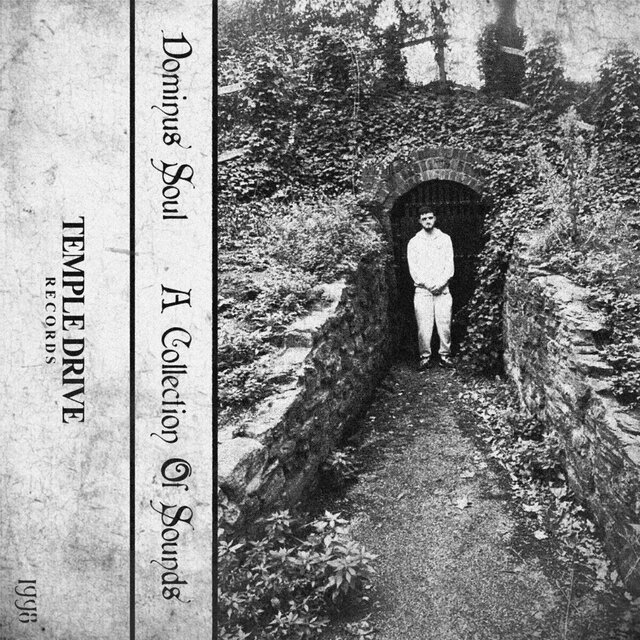 A Collection Of Sounds